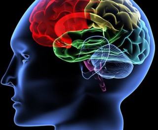 simulation-training-effects-on-the-human-brain