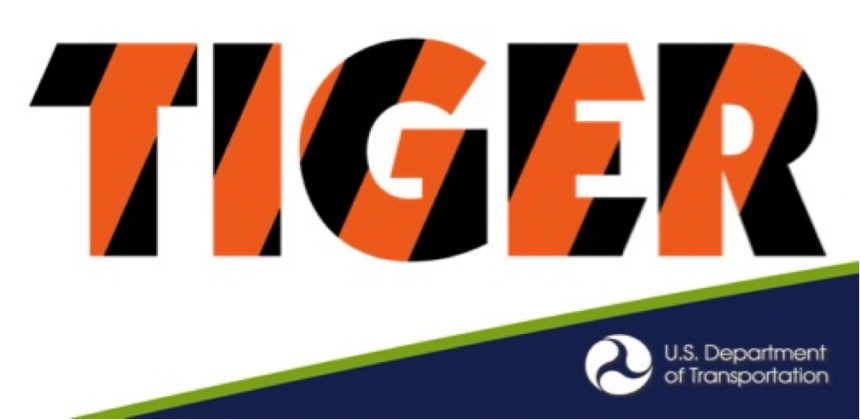 TIGER-DOT-logo