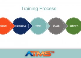 training process