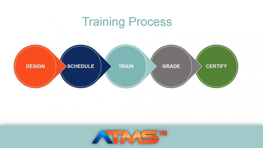 training process